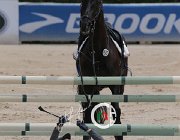 Giordano Carlton Wonder CsioArJYR SS7 8107 : CSIO Giovani Arezzo, Carlton Wonder, Giordano Martina, foto Stefano Secchi ©